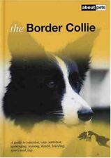 Border collie for sale  USA
