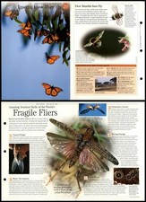 Insects fly characteristics for sale  SLEAFORD