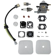 Carburetor for eco usato  Spedire a Italy