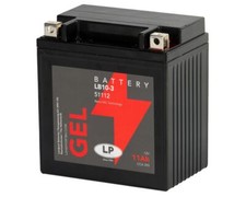 Batterie landport lb10 gebraucht kaufen  Moers