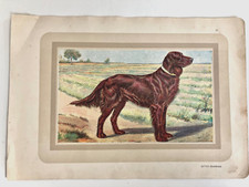 1931 chromolithograph paul d'occasion  Expédié en Belgium