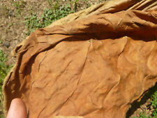 African red high for sale  Fayetteville