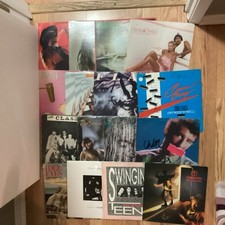Lote de trabalho de vinil anos 80 ROCK, 16 álbuns, bandeira, olhos ociosos, carta de porte, capitão, adolescentes comprar usado  Enviando para Brazil