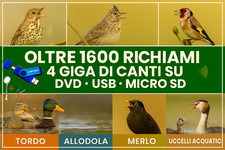 Mega raccolta 1600 usato  Mola di Bari