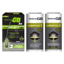 Sistema GB Conjunto de Suporte para Cabelo, Spray + Rotina de Xampu Duplo para Cabelos Mais Grossos comprar usado  Enviando para Brazil