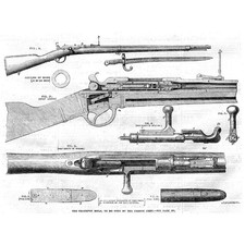 The chassepot rifle d'occasion  Expédié en Belgium