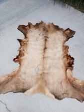 Genuine elk skin for sale  Labelle