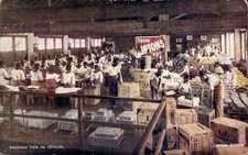 Sri lanka ceylon gebraucht kaufen  Berlin