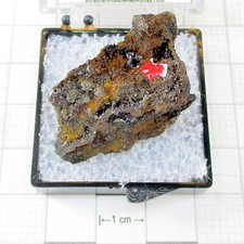 11512 woodruffite maria for sale  Shipping to United Kingdom