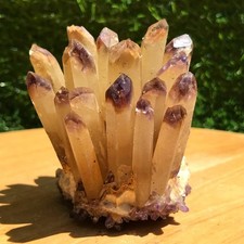 260G Raro Cuarzo Púrpura Racimo Cristal Cuarzo Mineral Espécimen Curación segunda mano  Embacar hacia Mexico