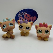 Kitten cat triplets for sale  Alexandria