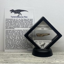 Tyrannosaurus rex rex for sale  Davenport