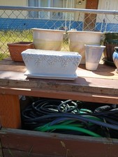 Ceramic plant pots for sale  Westport