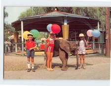 Cartão postal playground infantil com elefante catskill jogo fazenda Catskill NY EUA comprar usado  Enviando para Brazil