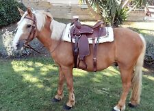 Selle western cuir d'occasion  Expédié en France