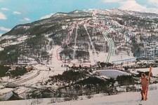 Cartolina piemonte turistico usato  Vimodrone