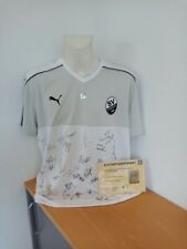 Sandhausen trikot teamsigniert gebraucht kaufen  Lünen