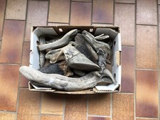 Treibholz vom bodensee gebraucht kaufen  München