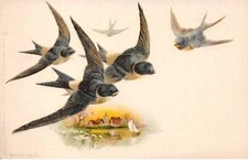 Illustrateur 89964 hirondelles d'occasion  France