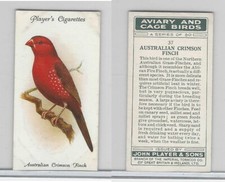 P72 player aviary for sale  Freeland