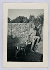 Snapshot ferocious animal d'occasion  Toulouse-