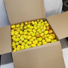 500 überraschungseier 90er gebraucht kaufen  Geisa