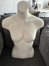 Female mannequin torso for sale  RUGBY