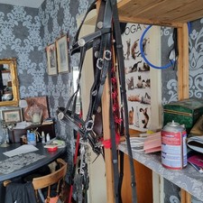 kandare gebraucht kaufen  Kreuzau