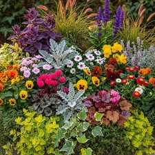 Autumn basket plant for sale  UK