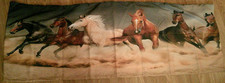 Wild horse stampede for sale  Woodruff