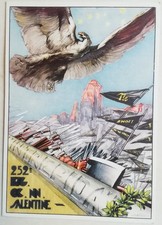 Cartolina 252 battaglione usato  Roma