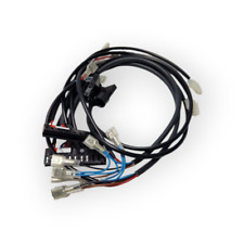 Bwt c1epb 213 usato  Italia