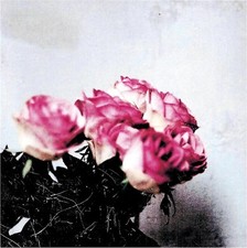 New Minuano / Love Logic 2009 CD Japan Lamp comprar usado  Enviando para Brazil