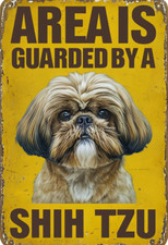 Area guarded shih for sale  DUNSTABLE