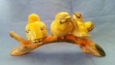 Cute baby bird for sale  Atlanta