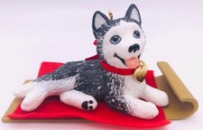 2017 siberian husky for sale  Carol Stream