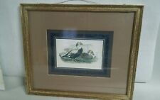 Soicher marin wolf for sale  Hinton