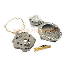 Kit gusci pinasco usato  Treviso