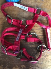 dually halter for sale  CAMBORNE
