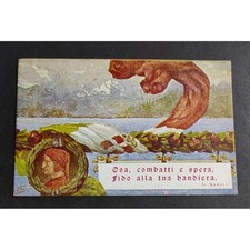 Cartolina comitato verbanese usato  Alessandria