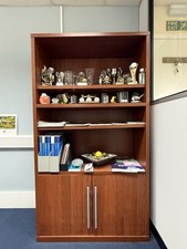 Tall office cupboard for sale  BROMLEY