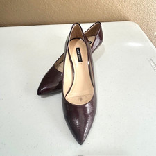 Alex marie pointed for sale  Riesel