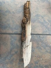Natural driftwood plants for sale  Camarillo