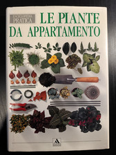 Piante appartamento john usato  Contursi Terme