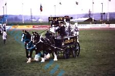 Coalite coal horse for sale  ROSSENDALE