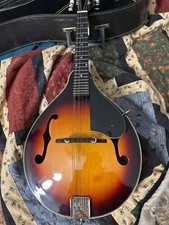 Oscar schmidt brand for sale  Tyler