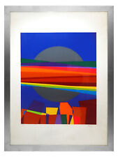 Serigrafia colori numerata usato  Trevenzuolo