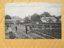 Cpa tours hospice d'occasion  Descartes