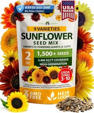 Home grown sunflower for sale  Denver