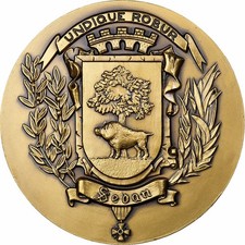 Médaille sedan bronze d'occasion Médaille sedan bronze d'occasion  Lille-